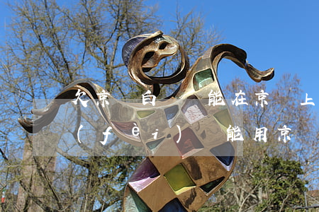 欠京東白條還能在京東上買東西嗎(白條欠費(fèi)還能用京東買東西嗎)