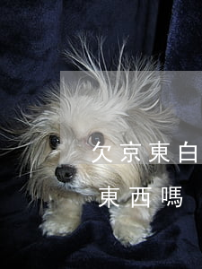 欠京東白條還能買東西嗎(欠白條能在京東買東西嗎)
