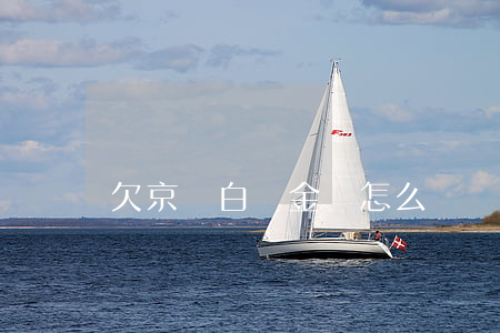 欠京東白條金條怎么辦