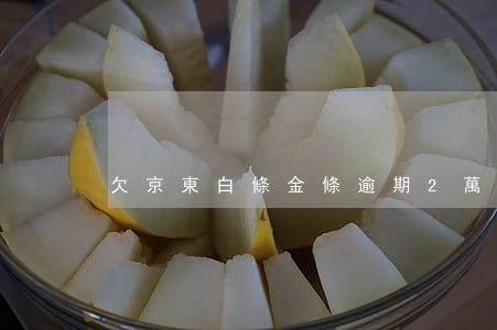 欠京東白條金條逾期2萬