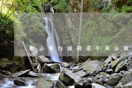 欠京東白條錢還不來(京東白條的錢不還)