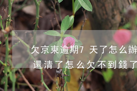欠京東逾期7天了怎么辦(京東逾期10天后還清了怎么欠不到錢了)
