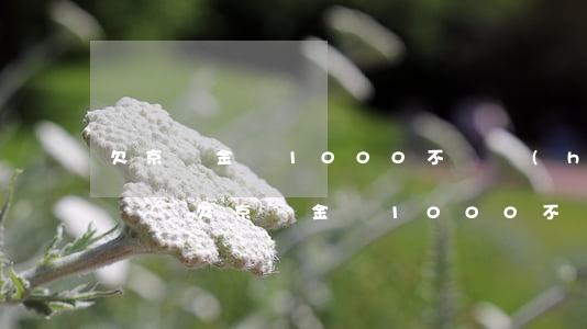 欠京東金條1000不還會(huì)怎么樣-欠京東金條1000不還會(huì)怎么樣嗎