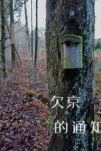 欠京東金條140000(欠京東金條的錢給的通知函是真的假的)