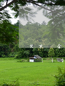 欠京東金條15000怎么解決-欠京東金條15000怎么解決的
