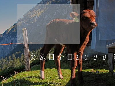欠京東金條2000元會上門嗎-