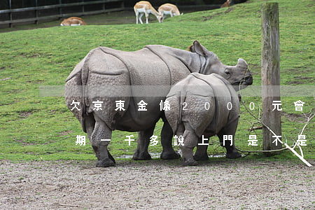 欠京東金條2000元會上門嗎(京東金條逾期一千多說上門是不是真的)