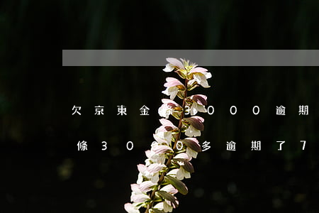 欠京東金條3000逾期90天-欠京東金條3000多,逾期了700天會(huì)怎樣