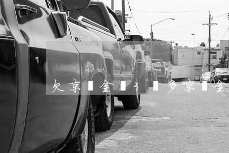 欠京東金條3萬多(京東金條13萬還不起了)