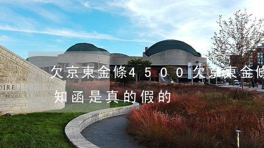 欠京東金條4500(欠京東金條的錢給的通知函是真的假的)