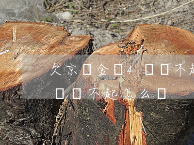 欠京東金條4萬還不起怎么辦(欠京東金條4萬還不起怎么辦)