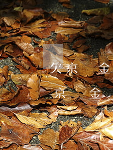 欠京東金條50000會(huì)坐牢嗎(京東金條欠款幾千塊錢不還了會(huì)怎么樣)