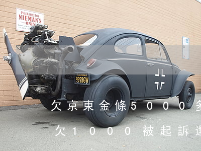 欠京東金條5000多200天-京東金條欠1000被起訴還是還不上會怎樣