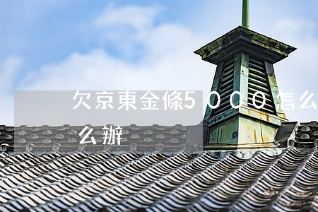 欠京東金條5000怎么辦(京東金條沒還怎么辦)