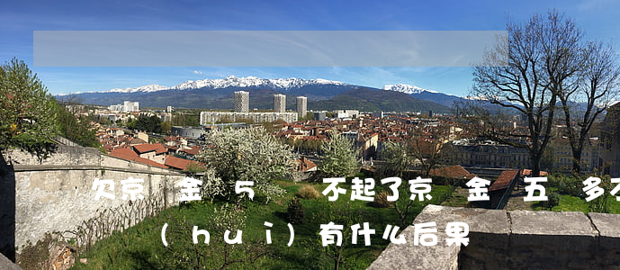 欠京東金條5萬還不起了(京東金條五萬多不還會(huì)有什么后果)