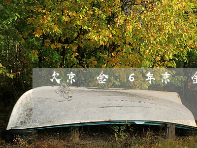 欠京東金條6年(京東金條四年沒還)