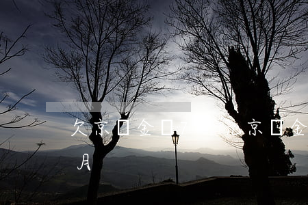 欠京東金條7千元(京東金條欠一個(gè)月)