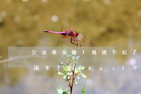 欠京東金條7萬還不起了(欠京東金條7萬多兩年了,會(huì)不會(huì)起訴我)