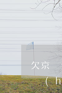 欠京東金條一千多怎么辦(京東金條一直欠著會(huì)怎么樣)