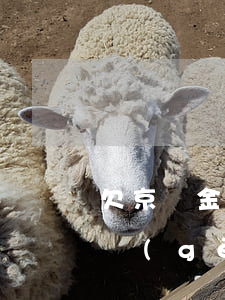 欠京東金條一千(欠京東金條一千二百,逾期兩個(gè)月會(huì)不會(huì)被起訴)