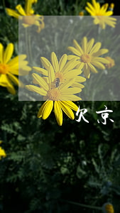 欠京東金條上門取證(欠京東金條上門取證)