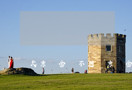 欠京東金條不想還(京東金條都還完還借不出錢)