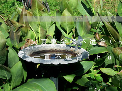欠京東金條不還會(huì)怎樣(京東金條一直不還會(huì)有什么后果)