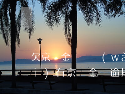 欠京東金條兩萬(wàn)逾期(有沒(méi)有京東金條逾期幾萬(wàn)暫時(shí)還不上的)