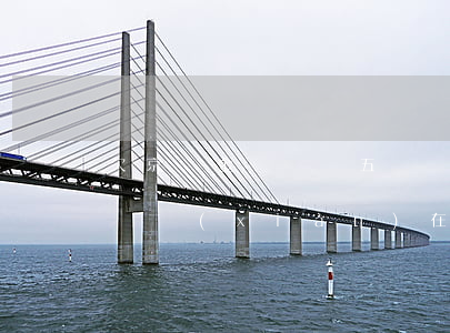 欠京東金條兩萬五沒錢還(欠了京東金條五萬塊現(xiàn)在還不起怎么辦)