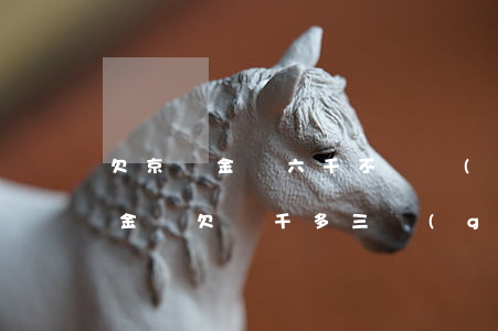 欠京東金條六千不還會(huì)怎樣(京東金條欠兩千多三個(gè)月他說(shuō)來(lái)家里)