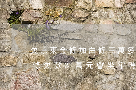 欠京東金條加白條三萬多還不起(京東白條金條欠款2萬元會坐牢嗎)