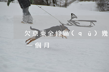 欠京東金條區(qū)幾萬不還(京東金條欠一個月)
