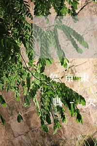 欠京東金條十萬還不上會(huì)被判刑嗎-欠京東金條十萬還不上會(huì)被判刑嗎知乎