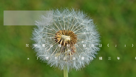 欠京東金條和白條合計(jì)八萬(wàn)還不起(京東白條三年沒(méi)還了8000塊)