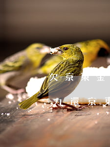 欠京東金條四萬(wàn)沒(méi)能力還(京東金條欠款幾千塊錢不還了會(huì)怎么樣)