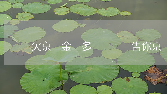 欠京東金條多長時間會告你(京東金條欠一年)