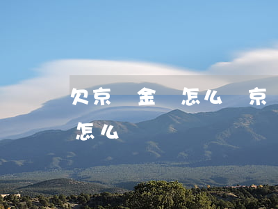 欠京東金條怎么辦(京東金條沒(méi)還怎么辦)