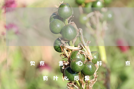 欠京東金條白條好幾萬(京東白條欠兩千多塊錢有什么后果)
