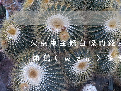 欠京東金條白條的錢(京東金條白條欠款一共兩萬(wàn)多無(wú)力償還怎么辦)