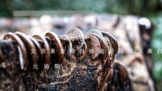 欠京東金條白條逾期四萬(京東白條欠款幾十元逾期)