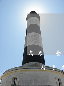 欠京東金條說要調(diào)查我(京東金條欠多少起訴)