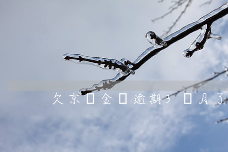 欠京東金條逾期3個月了