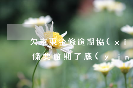 欠京東金條逾期協(xié)商處理(京東金條要逾期了應(yīng)該怎樣協(xié)商延期還款)
