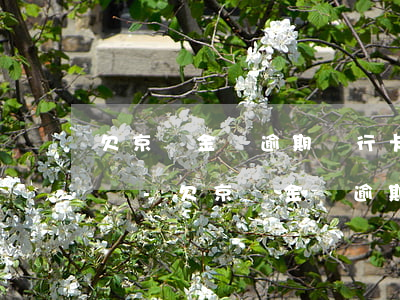 欠京東金條逾期銀行卡會(huì)被劃扣嗎-欠京東金條逾期銀行卡會(huì)被劃扣嗎安全嗎