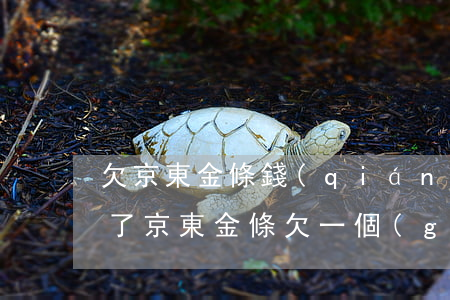 欠京東金條錢(qián)7個(gè)月了(京東金條欠一個(gè)月通知)