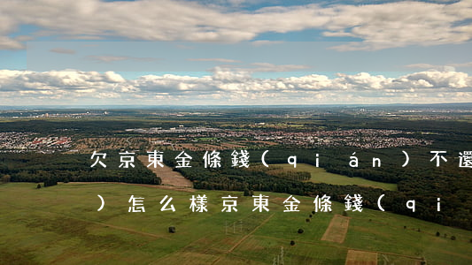 欠京東金條錢(qián)不還會(huì)怎么樣(京東金條錢(qián)沒(méi)還會(huì)怎么樣)