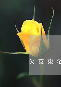 欠京東金條錢會不會去家里找