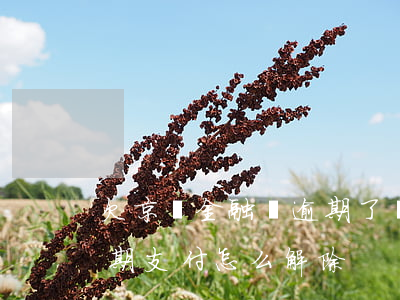 欠京東金融錢逾期了,還能京東購物嗎（京東逾期支付怎么解除）
