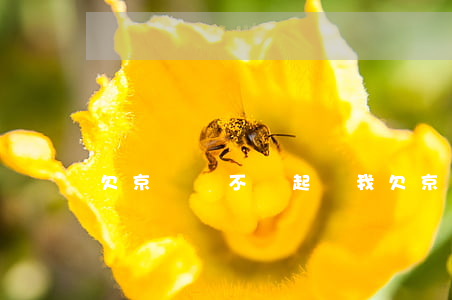 欠京東錢不還起訴我(欠京東錢不還起訴我)