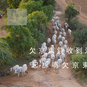 欠京東錢收到法院通知真的會(huì)被起訴嗎（欠京東錢會(huì)起訴我嗎）
